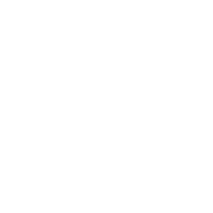 The Line 7